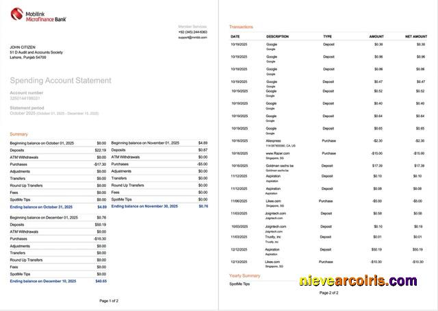 Pakistan Mobilink Microfinance Bank statement of account Word and PDF, 2 pages, version 2